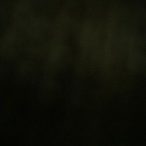 Meet your Posher, Hanna